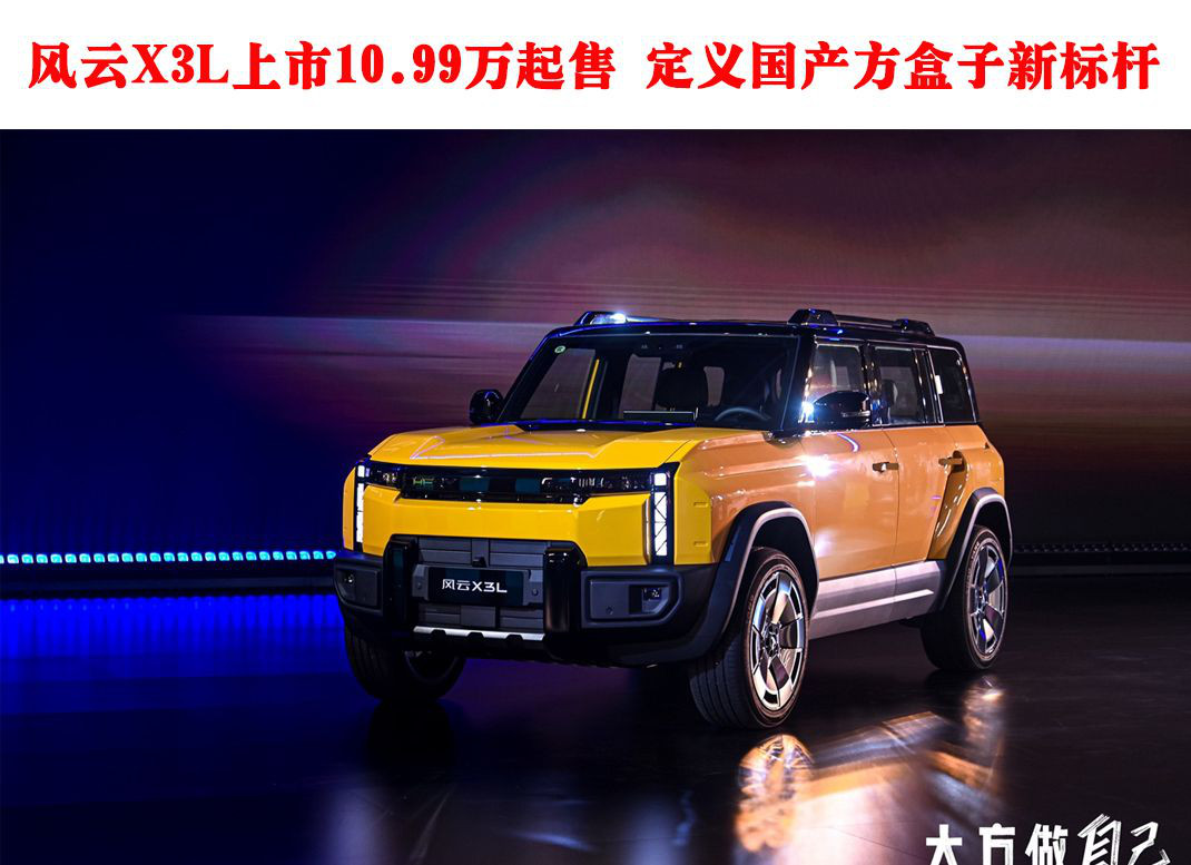X3L10.99 ±