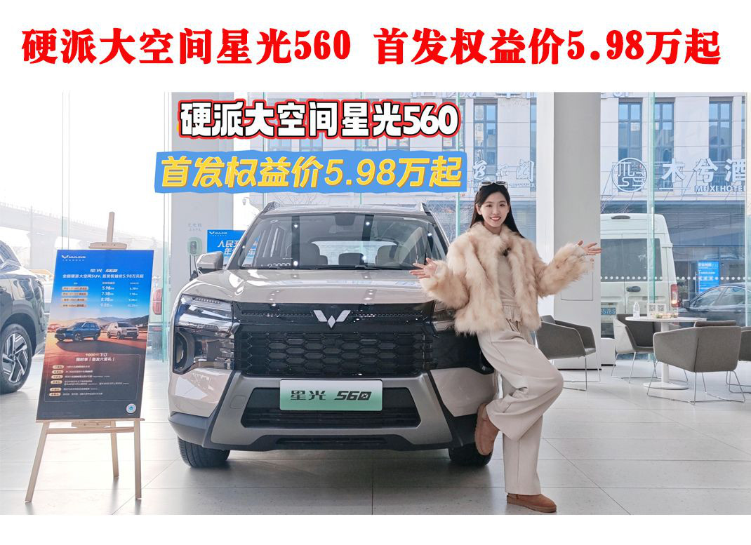 Ӳ�ɴ�ռ��ǹ�560 �׷�Ȩ���5.98����